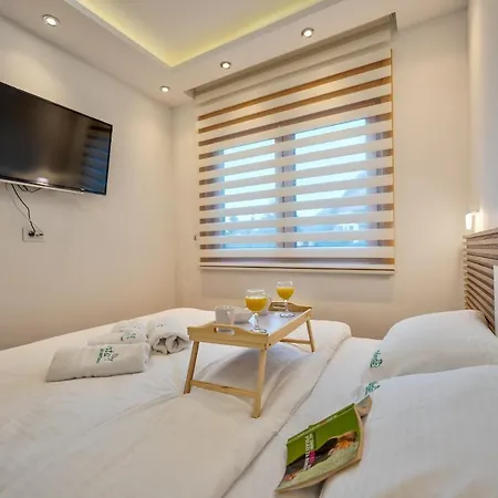 Menta * Ζλάτιμπορ